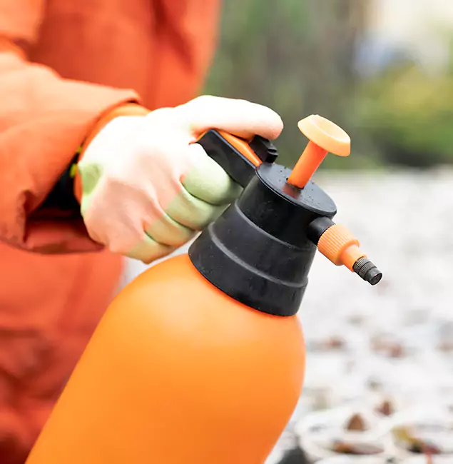 Why Choose Tualatin Pest Control Pro for Orange Termite Treatment in Tualatin, OR?