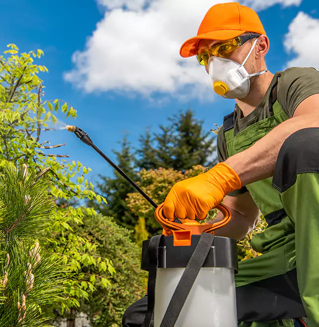 Why Choose Tualatin Pest Control Pro for Outdoor Pest Control in Tualatin, OR?