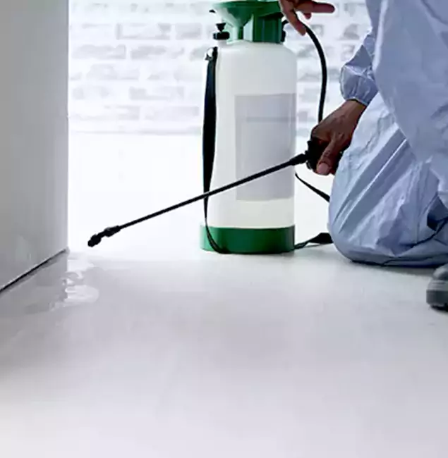 Why Choose Tualatin Pest Control Pro for Rat Exterminator in Tualatin, OR?