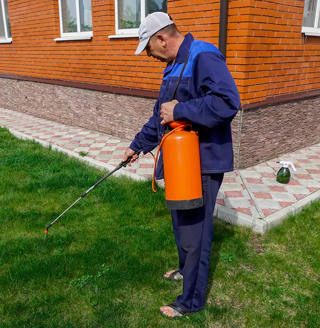 Why Choose Tualatin Pest Control Pro for Residential Pest Control in Tualatin, OR?