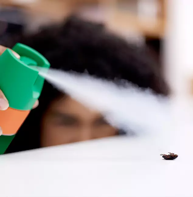 Why Tualatin, OR Homeowners Choose Tualatin Pest Control Pro for Roach Pest Control?