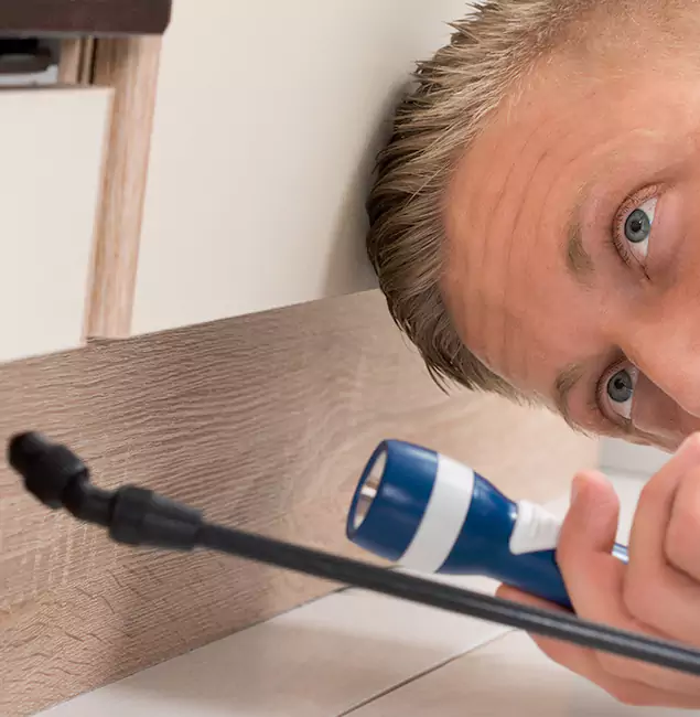 Why Choose Tualatin Pest Control Pro for Rodent Exterminator in Tualatin, OR?
