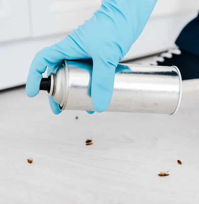 Why Choose Tualatin Pest Control Pro for Safe Bed Bug Treatment in Tualatin, OR?