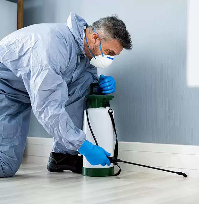 Why Choose Tualatin Pest Control Pro for Subterranean Termites Treatment in Tualatin, OR?