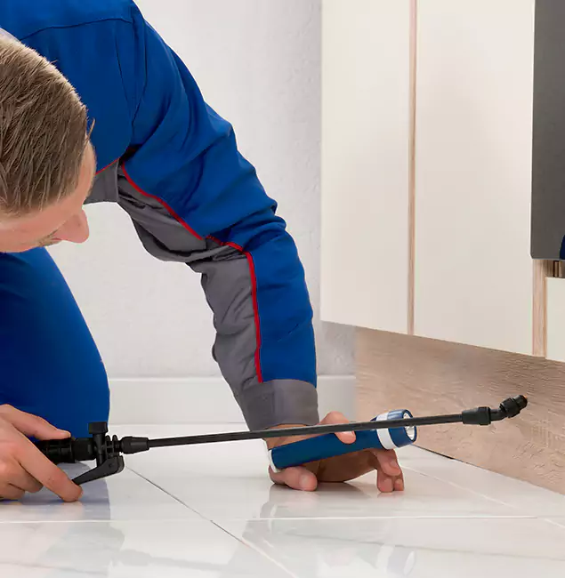 Why Tualatin Residents Choose Tualatin Pest Control Pro to Get Rid of Sugar Ants?