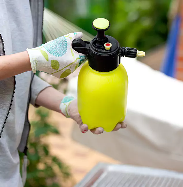 Why Choose Us: Tualatin Pest Control Pro Termite Spraying Experts in Tualatin, OR?