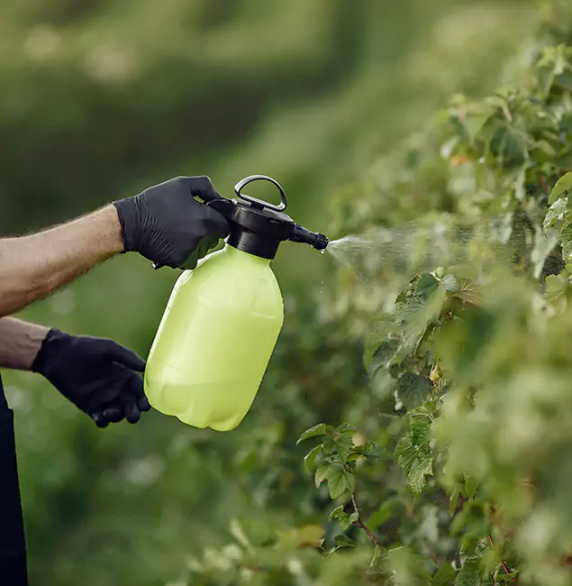 Why Tualatin Homeowners Choose Tualatin Pest Control Pro for Yard Tick Treatment?