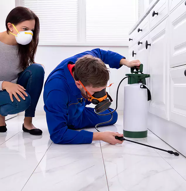 Why Choose Wood Termite Treatment by Tualatin Pest Control Pro in Tualatin, OR?