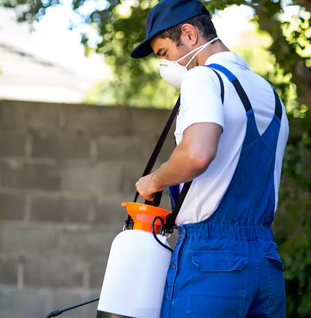 Why Tualatin Pest Control Pro Is the Right Choice for Yellow Jacket Removal in Tualatin, OR?