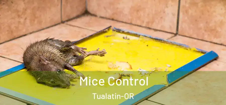 Mice Control Tualatin-OR