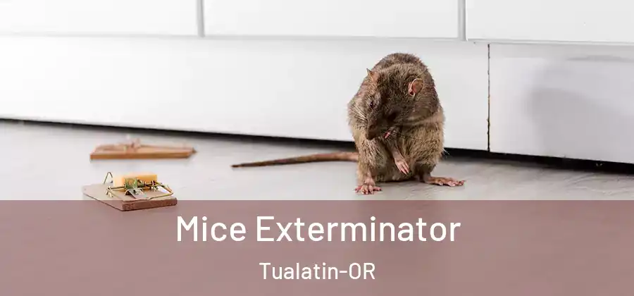 Mice Exterminator Tualatin-OR