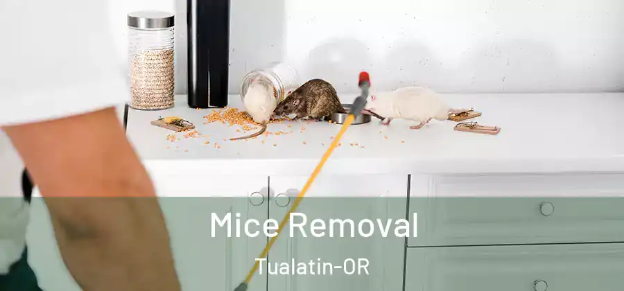 Mice Removal Tualatin-OR