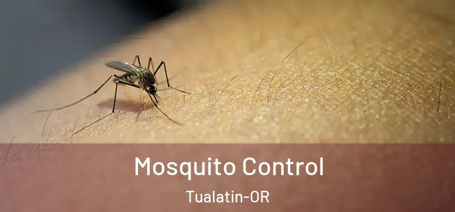 Mosquito Control Tualatin-OR