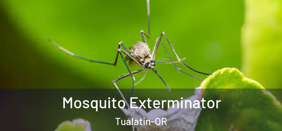 Mosquito Exterminator Tualatin-OR