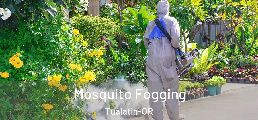 Mosquito Fogging Tualatin-OR