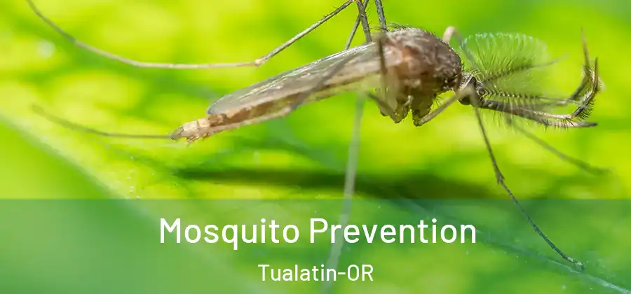 Mosquito Prevention Tualatin-OR