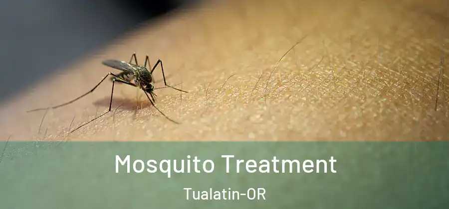  Mosquito Treatment Tualatin-OR