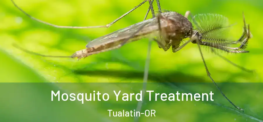 Mosquito Yard Treatment Tualatin-OR