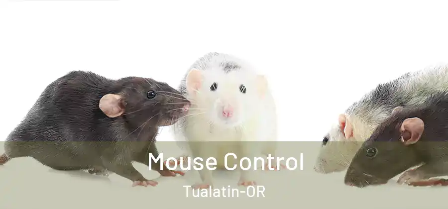  Mouse Control Tualatin-OR