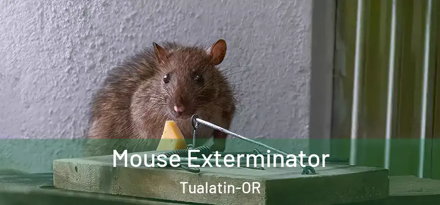 Mouse Exterminator Tualatin-OR