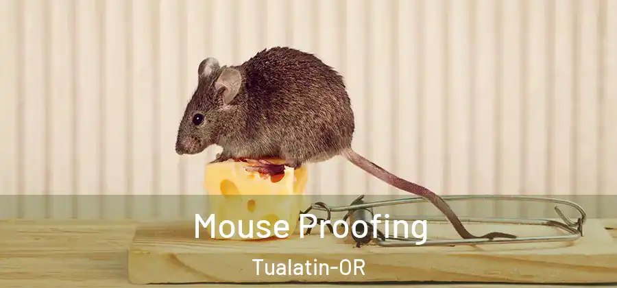  Mouse Proofing Tualatin-OR