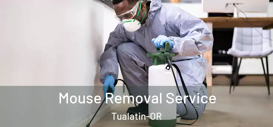 Mouse Removal Service Tualatin-OR