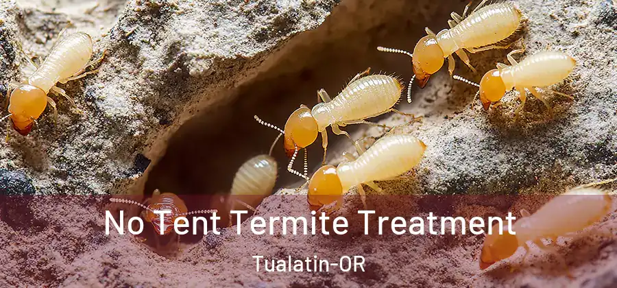  No Tent Termite Treatment Tualatin-OR