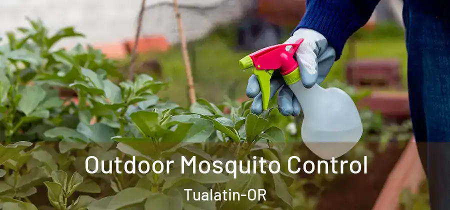 Outdoor Mosquito Control Tualatin-OR