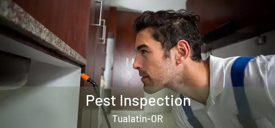 Pest Inspection Tualatin-OR