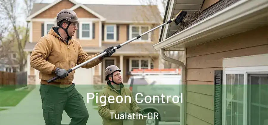 Pigeon Control Tualatin-OR