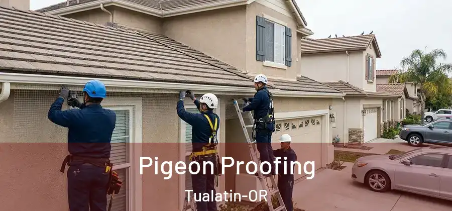 Pigeon Proofing Tualatin-OR