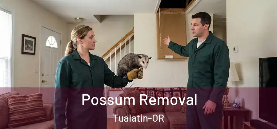 Possum Removal Tualatin-OR