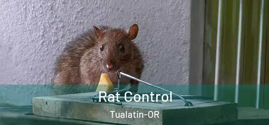  Rat Control Tualatin-OR