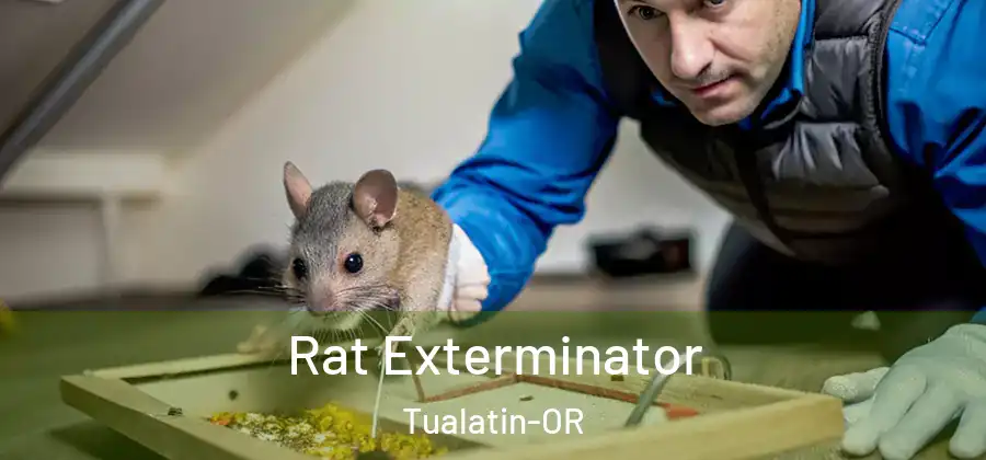 Rat Exterminator Tualatin-OR