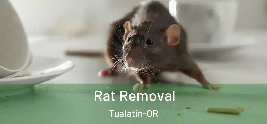 Rat Removal Tualatin-OR