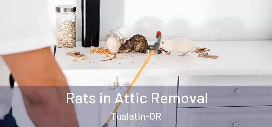 Rats in Attic Removal Tualatin-OR