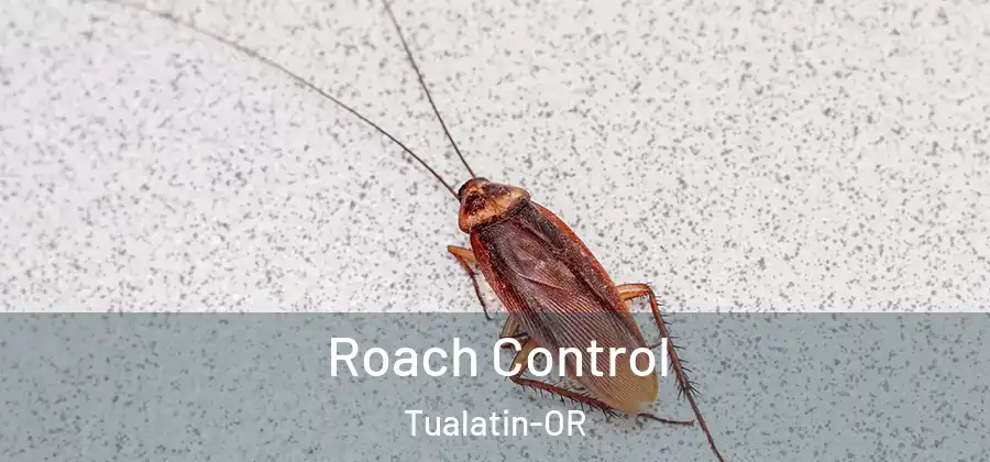 Roach Control Tualatin-OR