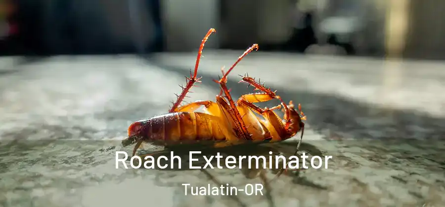 Roach Exterminator Tualatin-OR