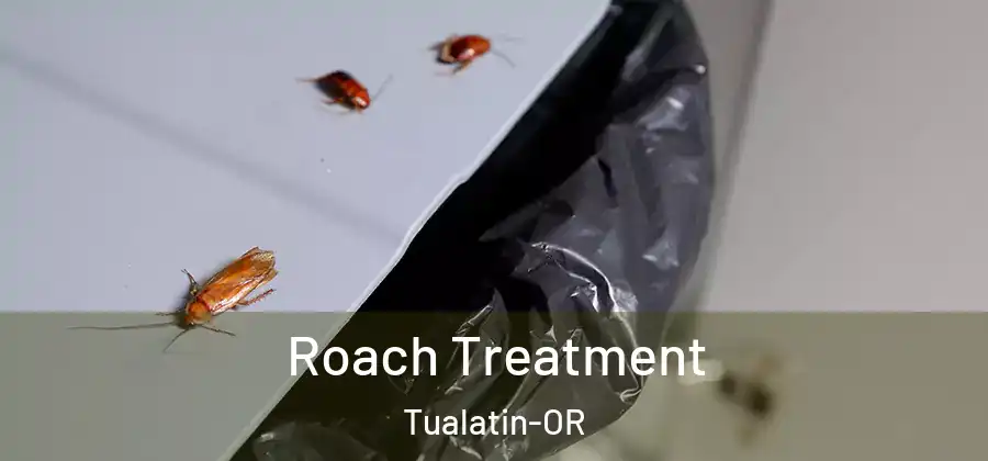 Roach Treatment Tualatin-OR