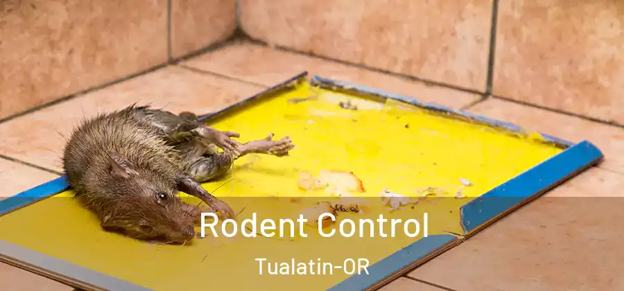 Rodent Control Tualatin-OR