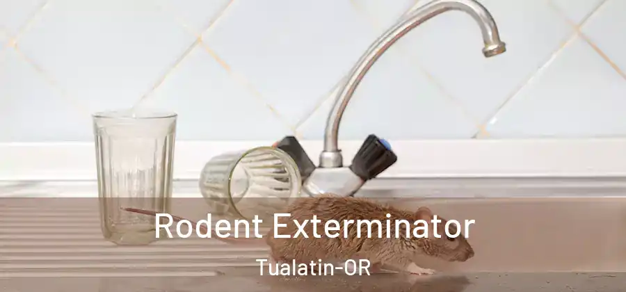 Rodent Exterminator Tualatin-OR