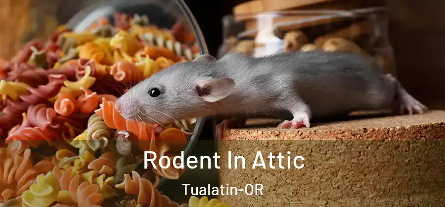 Rodent In Attic Tualatin-OR
