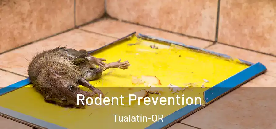 Rodent Prevention Tualatin-OR