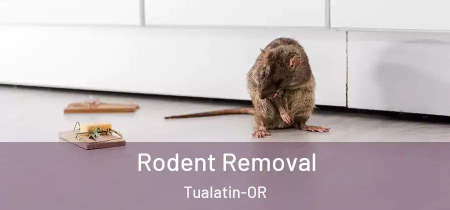 Rodent Removal Tualatin-OR