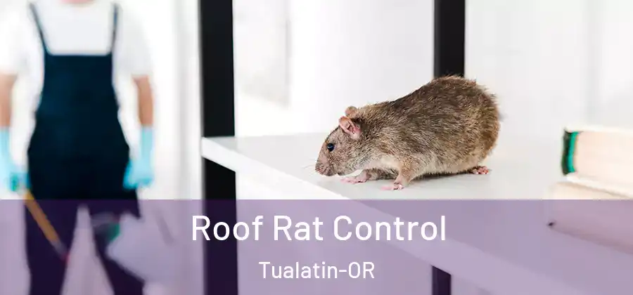 Roof Rat Control Tualatin-OR