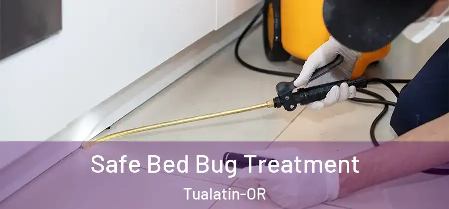  Safe Bed Bug Treatment Tualatin-OR