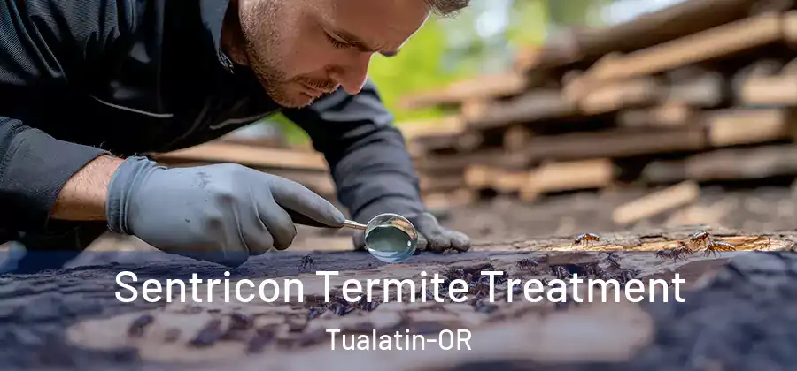  Sentricon Termite Treatment Tualatin-OR