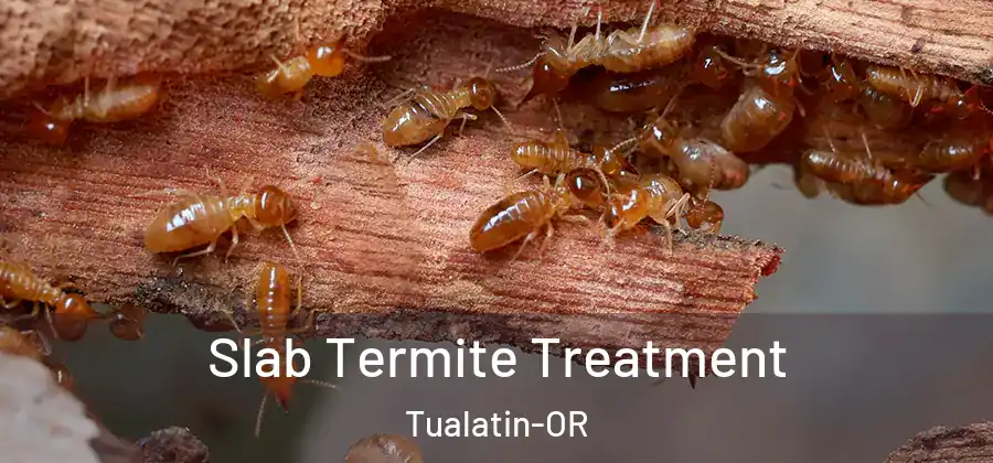 Slab Termite Treatment Tualatin-OR