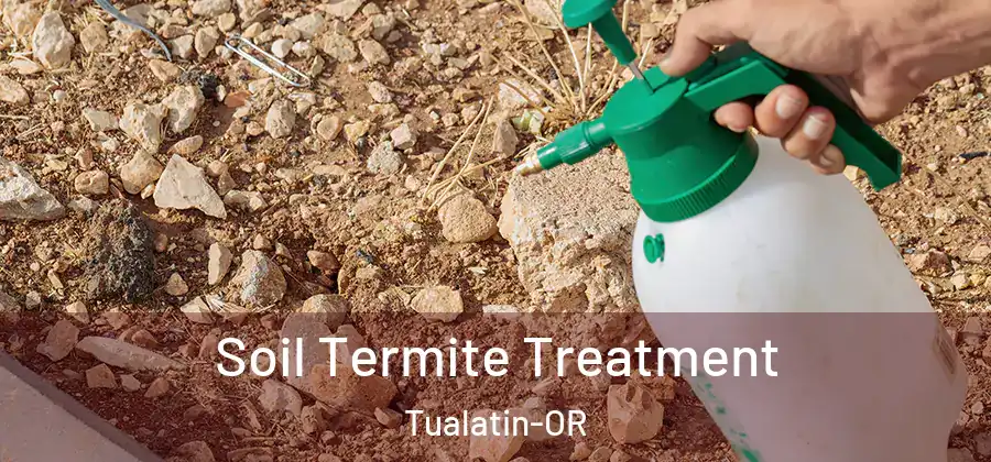 Soil Termite Treatment Tualatin-OR