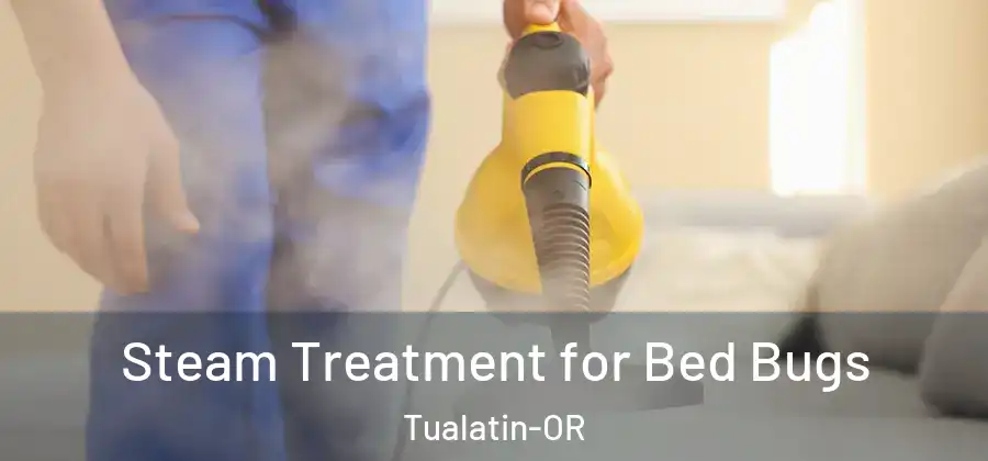  Steam Treatment for Bed Bugs Tualatin-OR